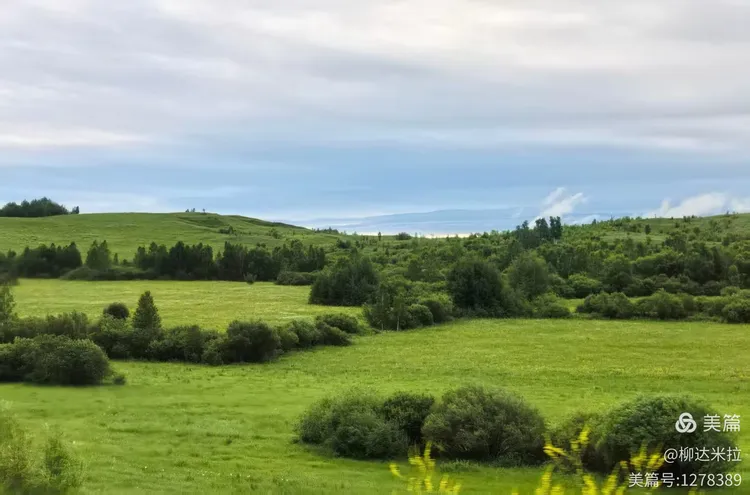 美丽七月的草原 上库力 在线摄影展 摄影/刘 霞
